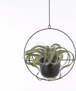 Mica Decorations Dexter Bloempot Hangend - L34 X B14 X H65 Cm - Zwart -Bloempotten Verkoop 1002x1200