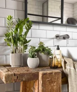 Capi Europe - Set Van 4 - Bloempot Binnen - Groove - - Ivoor - Bloempot Voor Binnen - BOX-BGVI-4 5 Capi Europe - Set Van 4 - Bloempot Binnen - Groove - - Ivoor - Bloempot Voor Binnen - BOX-BGVI-4 -Bloempotten Verkoop 1005x1200