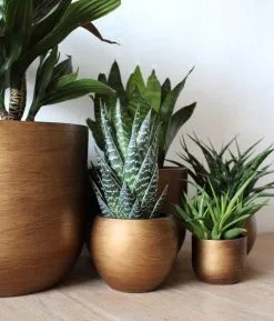 Capi Europe - Bloempot Bol Retro XL - 42x41 - Goud - Bloempot Voor Binnen - Opening ⌀36 - RTG933 10 Capi Europe - Bloempot Bol Retro XL - 42x41 - Goud - Bloempot Voor Binnen - Opening ⌀36 - RTG933 -Bloempotten Verkoop 1024x1200