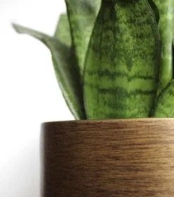 Capi Europe - Bloempot Bol Retro XL - 42x41 - Goud - Bloempot Voor Binnen - Opening ⌀36 - RTG933 13 Capi Europe - Bloempot Bol Retro XL - 42x41 - Goud - Bloempot Voor Binnen - Opening ⌀36 - RTG933 -Bloempotten Verkoop 1061x1200