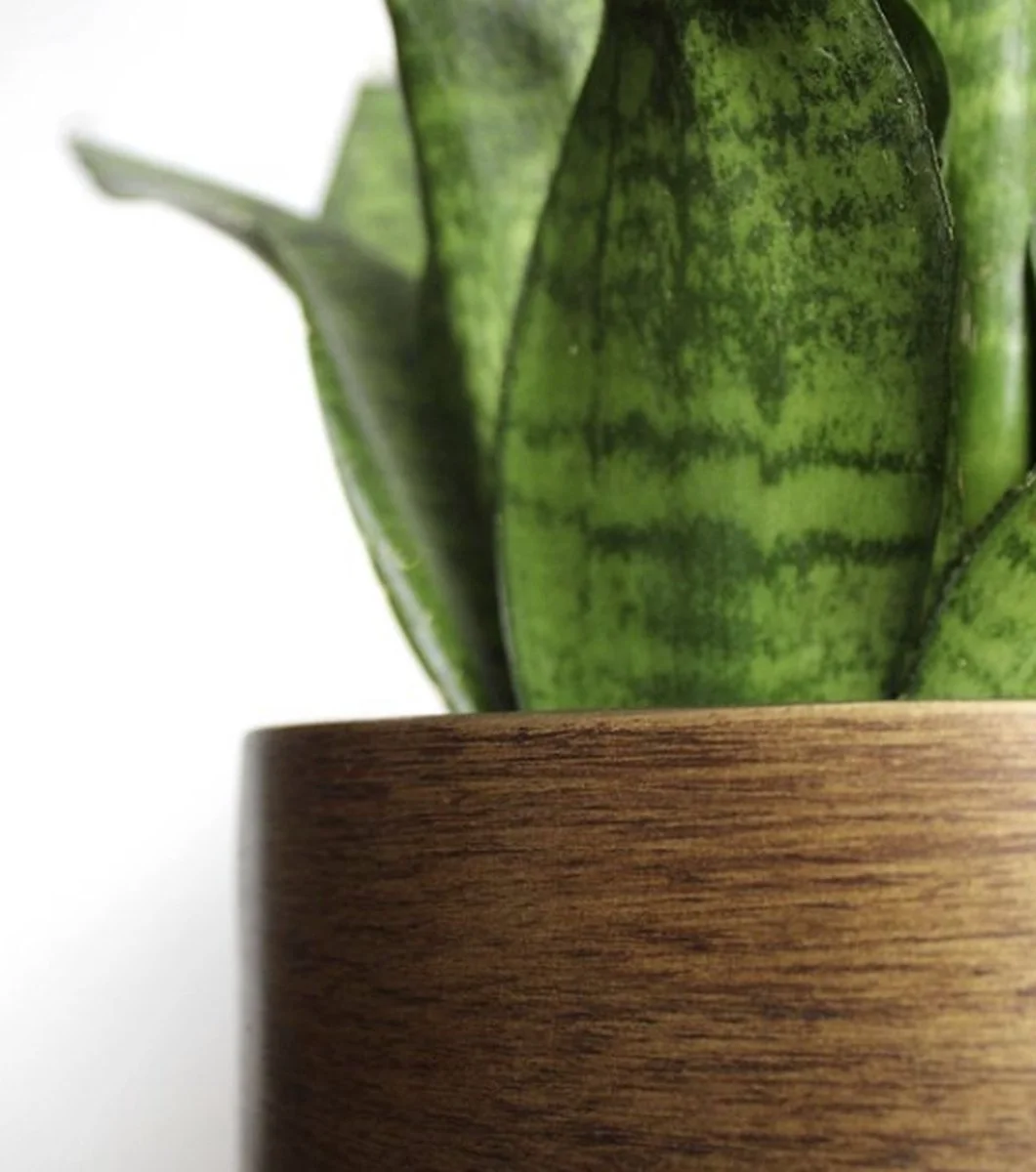 Capi Europe - Bloempot Bol Retro XL - 42x41 - Goud - Bloempot Voor Binnen - Opening ⌀36 - RTG933 6 Capi Europe - Bloempot Bol Retro XL - 42x41 - Goud - Bloempot Voor Binnen - Opening ⌀36 - RTG933 - Afbeelding 6