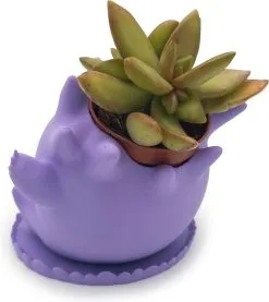 Azhora Pokémon Gengar Bloempot - Inclusief Opvangschaal - Lichtpaars 10 Azhora Pokémon Gengar Bloempot - Inclusief Opvangschaal - Lichtpaars -Bloempotten Verkoop 1069x1200