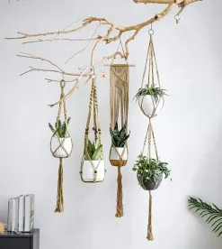 Mycramé 5 Stuks Luxe Jute Plantenhangers - Boho Handgeweven Katoen Hangpot Voor Binnen/Buiten - Hangende Bloempot Met Kralen - Macramé Touw/Koord Hangplant Houder - Bohemian Wandhanger Decoratie - Plant Hanger - Verticale Tuin Bloempothouder Planthanger 11 Mycramé 5 Stuks Luxe Jute Plantenhangers - Boho Handgeweven Katoen Hangpot Voor Binnen/Buiten - Hangende Bloempot Met Kralen - Macramé Touw/Koord Hangplant Houder - Bohemian Wandhanger Decoratie - Plant Hanger - Verticale Tuin Bloempothouder Planthanger -Bloempotten Verkoop 1074x1200