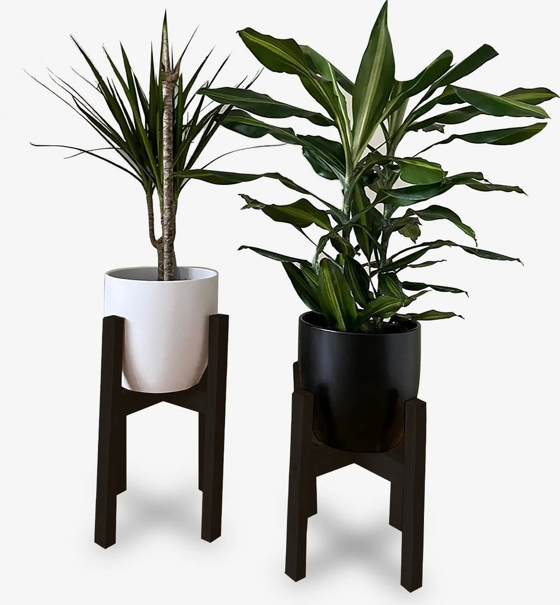 Beckenbau Plantenstandaard Binnen - Set Van 2 - Diameter Tot 24 Cm - Plantenkruk - Bloempotten Voor Binnen - Plantentafeltje Voor Binnen - Bloempot Standaard - Plantenstandaard - Hout - Mat Zwart/Donkergrijs 1 Beckenbau Plantenstandaard Binnen - Set Van 2 - Diameter Tot 24 Cm - Plantenkruk - Bloempotten Voor Binnen - Plantentafeltje Voor Binnen - Bloempot Standaard - Plantenstandaard - Hout - Mat Zwart/Donkergrijs