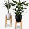 Beckenbau Plantenstandaard | Set Van 2 | Diameter Tot 24 Cm | Plantenkruk | Bloempotten Voor Binnen | Plantentafeltje Voor Binnen | Bloempot Standaard | Plantenstandaard Binnen | Hout | Licht Bruin