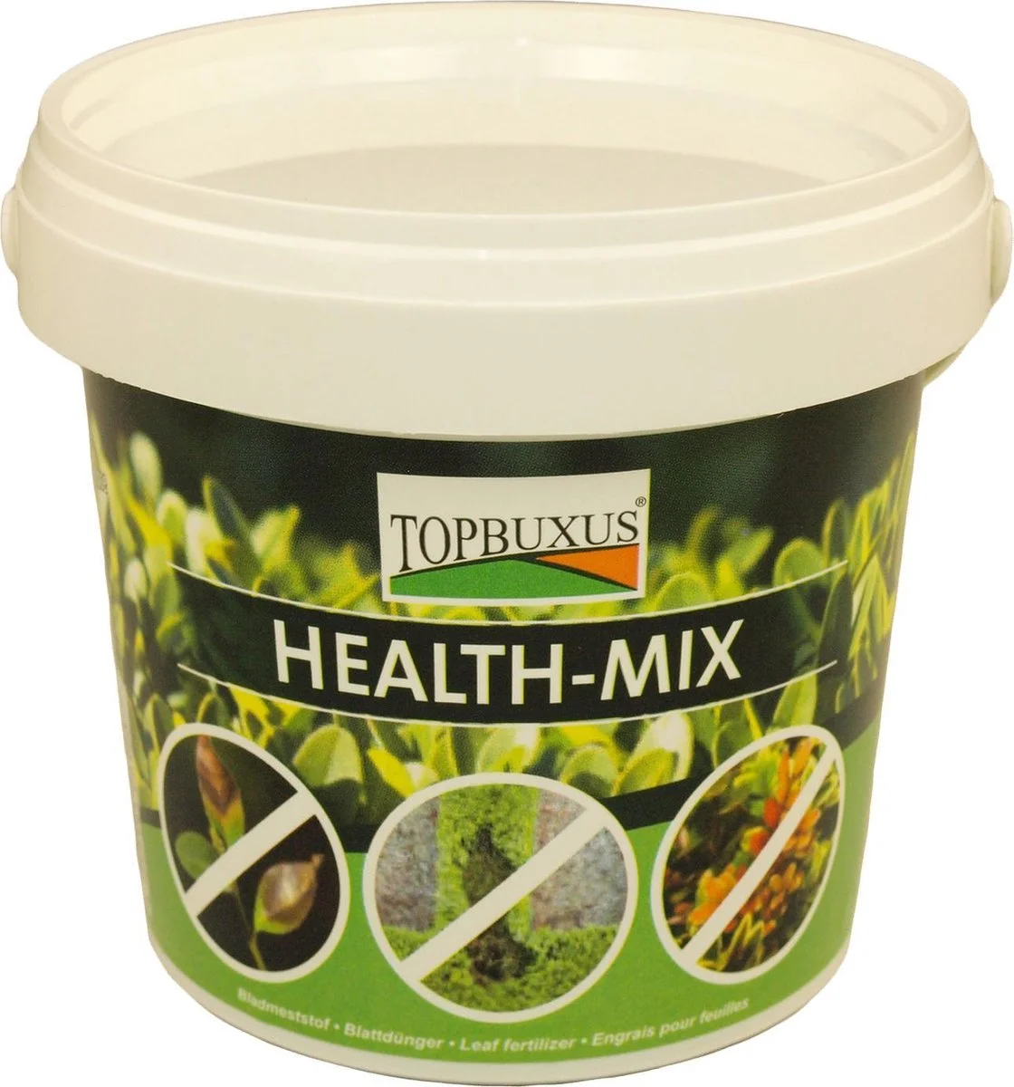 Topbuxus Buxus Health Mix 1 Topbuxus Buxus Health Mix