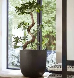 Capi Europe - Bloempot Bol Smooth NL - 43x41 - Zwart - Voor Binnen En Buiten - KBL933 19 Capi Europe - Bloempot Bol Smooth NL - 43x41 - Zwart - Voor Binnen En Buiten - KBL933 -Bloempotten Verkoop 1132x1200 2