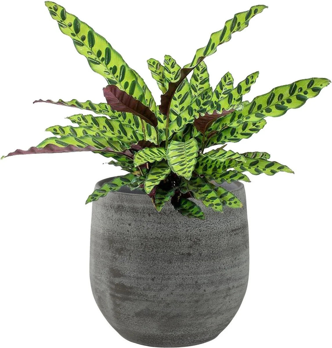 Merkloos Pot Esra Mystic Grey Bloempot Binnen 22 Cm 3 Merkloos Pot Esra Mystic Grey Bloempot Binnen 22 Cm - Afbeelding 3