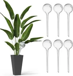 Ridem Waterdruppelaar Voor Planten - Irrigatiesysteem- Waterbol - Druppelsysteem - Watergeefsysteem Voor Kamerplanten - Plantenwatergever -6 Stuks - Transparant