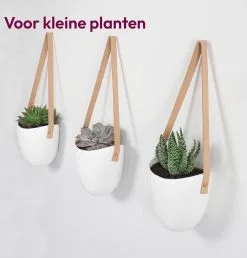 Gadgy Plantenhanger Keramiek - Set Van 3 - Hangpot Van Wit Steen - Hangende Bloempot Plantenpot - Met 3 Verschillende Koorden - 12x11x9.5CM -Bloempotten Verkoop 1149x1200