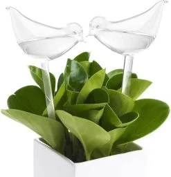 WiseGoods Luxe Planten Waterdruppelaar - Waterbol Vogel - Watergever - Watergeefsysteem Voor Planten & Bloemen - 200ML - Set Van 2 5 WiseGoods Luxe Planten Waterdruppelaar - Waterbol Vogel - Watergever - Watergeefsysteem Voor Planten & Bloemen - 200ML - Set Van 2 -Bloempotten Verkoop 1160x1200 4