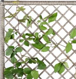 Casaria Polyrattan Bloembak – 3 Bakken Klimophek - Crème -Bloempotten Verkoop 1163x1200