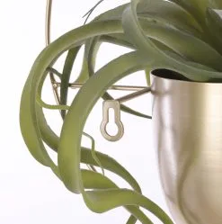 Mica Decorations Dexter Bloempot Wand - L34 X B14 X H34 Cm - Goud 8 Mica Decorations Dexter Bloempot Wand - L34 X B14 X H34 Cm - Goud -Bloempotten Verkoop 1189x1200 2