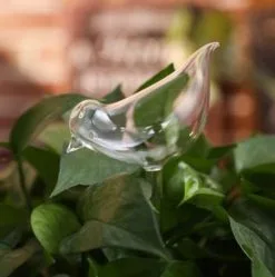 Citris Waterdruppelaar Planten - Vorm Vogel - Set Van 3 Kunststof Druppelaars - 25cm Lengte - Genoeg Water Tijdens Je Vakantie -Bloempotten Verkoop 1190x1200 3