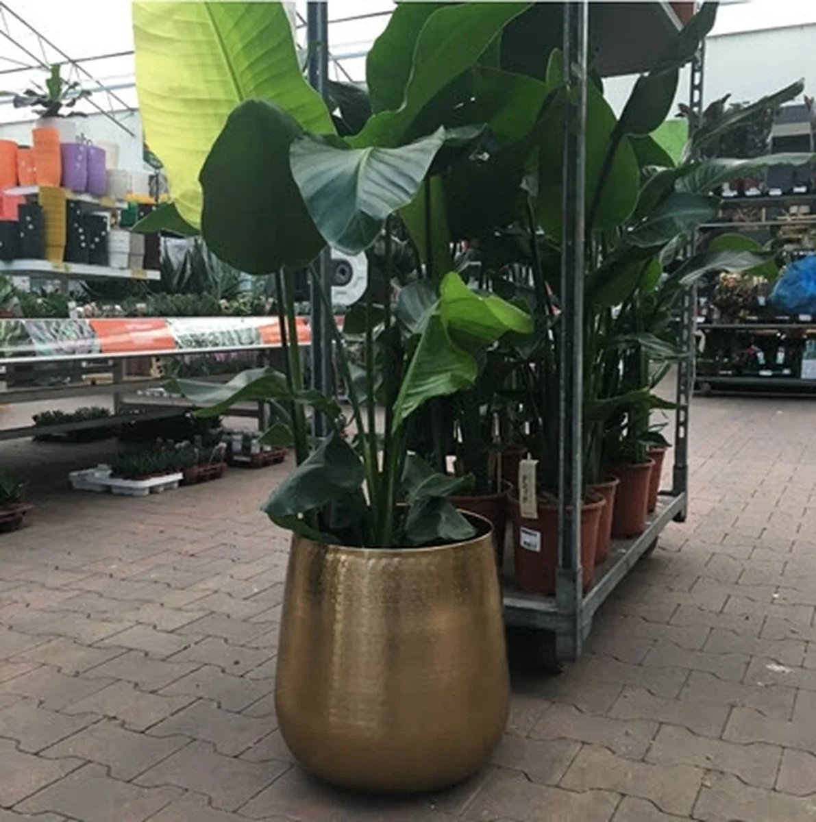 Merkloos Bloempot Karakter Goud - L 4 Merkloos Bloempot Karakter Goud - L - Afbeelding 4