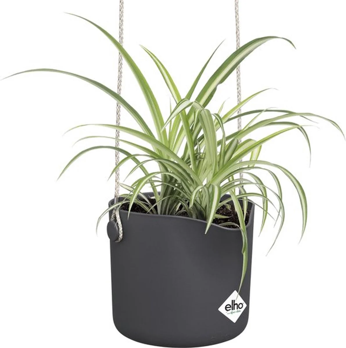Elho B.for Swing 18 Hangpot - Bloempot Voor Binnen - Ø 18.0 X H 16.5 Cm - Zwart/Antraciet 11 Elho B.for Swing 18 Hangpot - Bloempot Voor Binnen - Ø 18.0 X H 16.5 Cm - Zwart/Antraciet - Afbeelding 11