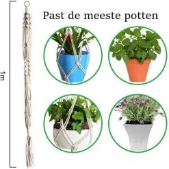 Merkloos Plantenhanger Macramé - Luxe Gevlochten Touw Katoen - 2 Stuks - Plantenpot Ophangen 12 Merkloos Plantenhanger Macramé - Luxe Gevlochten Touw Katoen - 2 Stuks - Plantenpot Ophangen -Bloempotten Verkoop 1196x1200