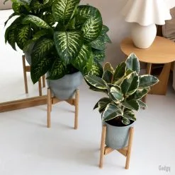 Gadgy Bamboe Plantenstandaard 2 St - Plantentafel - Plantentafeltje Voor Binnen - Plantenrek - Uitschuifbaar - Hout - Ø 20 Tot 30 Cm -Bloempotten Verkoop 1197x1200