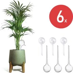 Merkloos JADI - Druppelsysteem - Waterdruppelaar Voor Uw Planten - Set Van 6 Stuks - 3 Grote & 3 Kleine - Transparante Waterbollen
