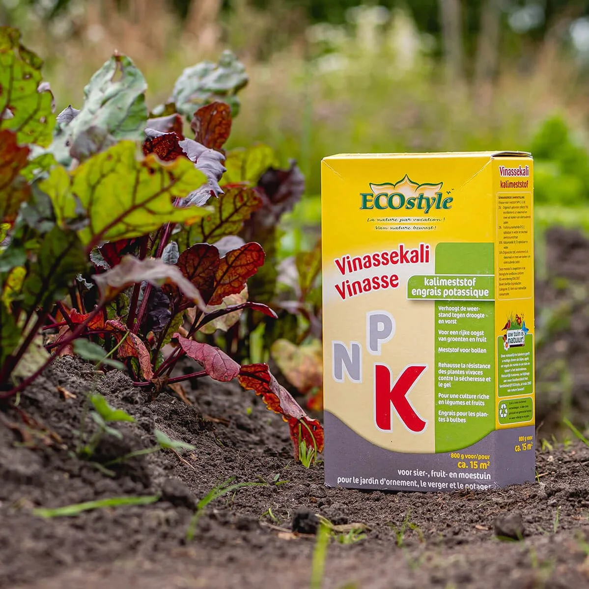 ECOStyle Vinassekali Organische Meststof - Vuor Kaliumtekort - Voor Moestuin, Siertuin En Fruit - Hoger Weerstand Tegen Droogte & Vorst - 15M² - 800 GR 2 ECOStyle Vinassekali Organische Meststof - Vuor Kaliumtekort - Voor Moestuin, Siertuin En Fruit - Hoger Weerstand Tegen Droogte & Vorst - 15M² - 800 GR - Afbeelding 2