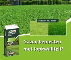 DCM Vital-Green Gazon - Gazonmest - Gazonmeststof Met MINIGRAN® Technology - 75m2 - 3 Kg -Bloempotten Verkoop 1200x1000 6