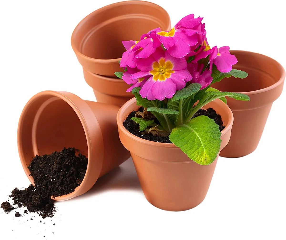 Garden Mania - 12 Mini Terracotta Keramische Klei Bloempotten Met Afvoergat, 8cm 1 Garden Mania - 12 Mini Terracotta Keramische Klei Bloempotten Met Afvoergat, 8cm