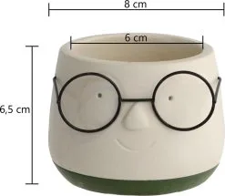 Comforder 2x Bloempot Met Gezicht - Ø8 X H6,5 Cm - Bloempotten Voor Binnen Met Bril/Face/Hoofd -Bloempotten Verkoop 1200x1045