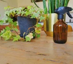 24DOTS® 24DOTS Living Plantenspuit | 300 Ml Bruin Amber Glas | Plantensproeier | Plantenspuit Binnen | Waterverstuiver | Vernevelaar -Bloempotten Verkoop 1200x1051