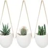 Merkloos Plantenhanger Keramiek – Set Van 3 – Steen- Hangpot – Hangende Bloempot Plantenpot Met 3 Verschillende Koorden – 12 X 11 X 9.5 Cm