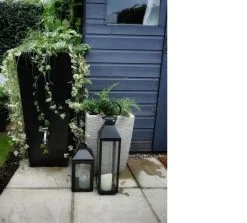 Prestige Manhattan 100L Regenton Zwart (incl. Kraantje) -Bloempotten Verkoop 1200x1083 2