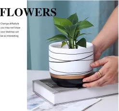 Spieringstore® Bloempotten Binnen - Keramiek - Gouden Rand - Bloempot Buiten - Afvoergat 24 Cm - Wit Zwart – Groot 11 Spieringstore® Bloempotten Binnen - Keramiek - Gouden Rand - Bloempot Buiten - Afvoergat 24 Cm - Wit Zwart – Groot -Bloempotten Verkoop 1200x1118 1