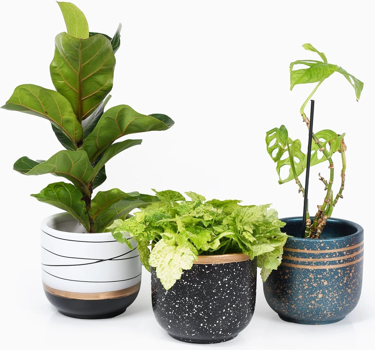 Spieringstore® Bloempotten Binnen - Keramiek - Gouden Rand - Bloempot Buiten - Afvoergat 24 - Small Set Van 3 - 15 Cm 1 Spieringstore® Bloempotten Binnen - Keramiek - Gouden Rand - Bloempot Buiten - Afvoergat 24 - Small Set Van 3 - 15 Cm