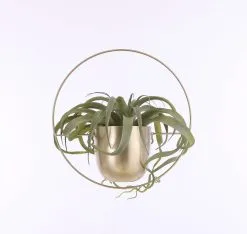 Mica Decorations Dexter Bloempot Wand - L34 X B14 X H34 Cm - Goud 10 Mica Decorations Dexter Bloempot Wand - L34 X B14 X H34 Cm - Goud -Bloempotten Verkoop 1200x1137