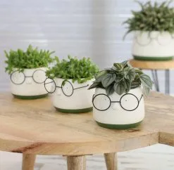 Comforder 2x Bloempot Met Gezicht - Ø8 X H6,5 Cm - Bloempotten Voor Binnen Met Bril/Face/Hoofd -Bloempotten Verkoop 1200x1178