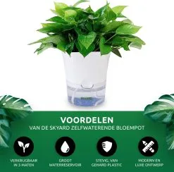 SKYARD® 3 Stuks Zelfwaterende Bloempot Maat M – Milieuvriendelijk Watergeefsysteem Kamerplanten – Zelfwatergevende Pot – Bloempot Met Waterreservoir – Selfwatering Pot – Wit 18 SKYARD® 3 Stuks Zelfwaterende Bloempot Maat M – Milieuvriendelijk Watergeefsysteem Kamerplanten – Zelfwatergevende Pot – Bloempot Met Waterreservoir – Selfwatering Pot – Wit -Bloempotten Verkoop 1200x1183