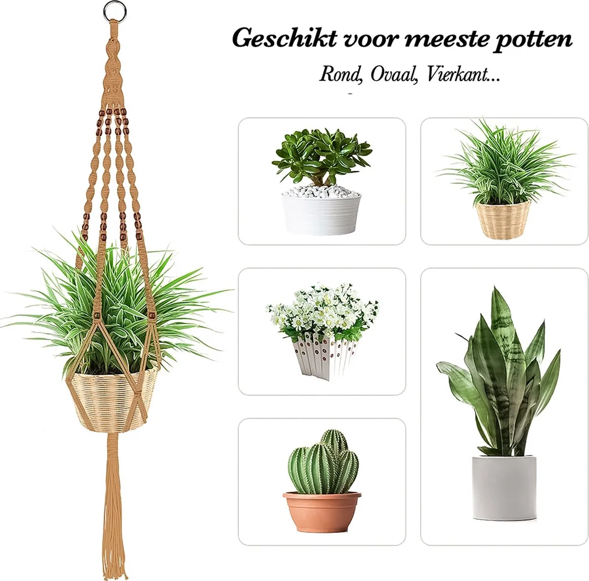 Mycramé 5 Stuks Jute Macrame Plantenhangers - Boho Handgeweven Katoen Hangpot Voor Binnen/Buiten - Hangende Bloempot Met Kralen - Macramé Touw/Koord Hangplant Houder - Bohemian Wandhanger Decoratie - Plant Hanger - Verticale Tuin Bloempothouder Planthanger 4 Mycramé 5 Stuks Jute Macrame Plantenhangers - Boho Handgeweven Katoen Hangpot Voor Binnen/Buiten - Hangende Bloempot Met Kralen - Macramé Touw/Koord Hangplant Houder - Bohemian Wandhanger Decoratie - Plant Hanger - Verticale Tuin Bloempothouder Planthanger - Afbeelding 4
