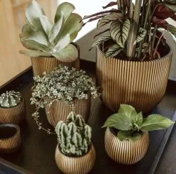 Capi Europe - Bloempot Bol Groove XL - 33x35 - Goud - Bloempot Voor Binnen - Opening ⌀28 - GVGB932 -Bloempotten Verkoop 1200x1191 5