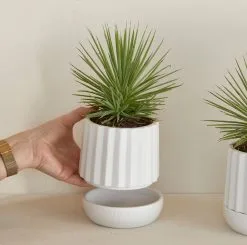 Riviera Maison Plantenbak Rond, Bloempot Met Ribbel - RM Let It Grow Planter - Wit - Porselein - Maat S 13 Riviera Maison Plantenbak Rond, Bloempot Met Ribbel - RM Let It Grow Planter - Wit - Porselein - Maat S -Bloempotten Verkoop 1200x1191 9