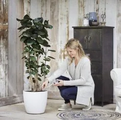 Elho Aqua Care 9 - Accessoires Voor Binnenaccessoires - Ø 17.3 X H 32.0 Cm - Transparant/Transparant -Bloempotten Verkoop 1200x1193 2