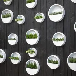 Langwerpige Witte Bloempot Van Naturn Living | Plantenbak | Bloempotten Voor Binnen En Buiten | Wit 6 Langwerpige Witte Bloempot Van Naturn Living | Plantenbak | Bloempotten Voor Binnen En Buiten | Wit -Bloempotten Verkoop 1200x1195