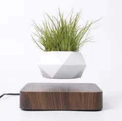 Floatey Design Plant | Zwevende Plant - Bloempot (levitation) -Bloempotten Verkoop 1200x1196 1
