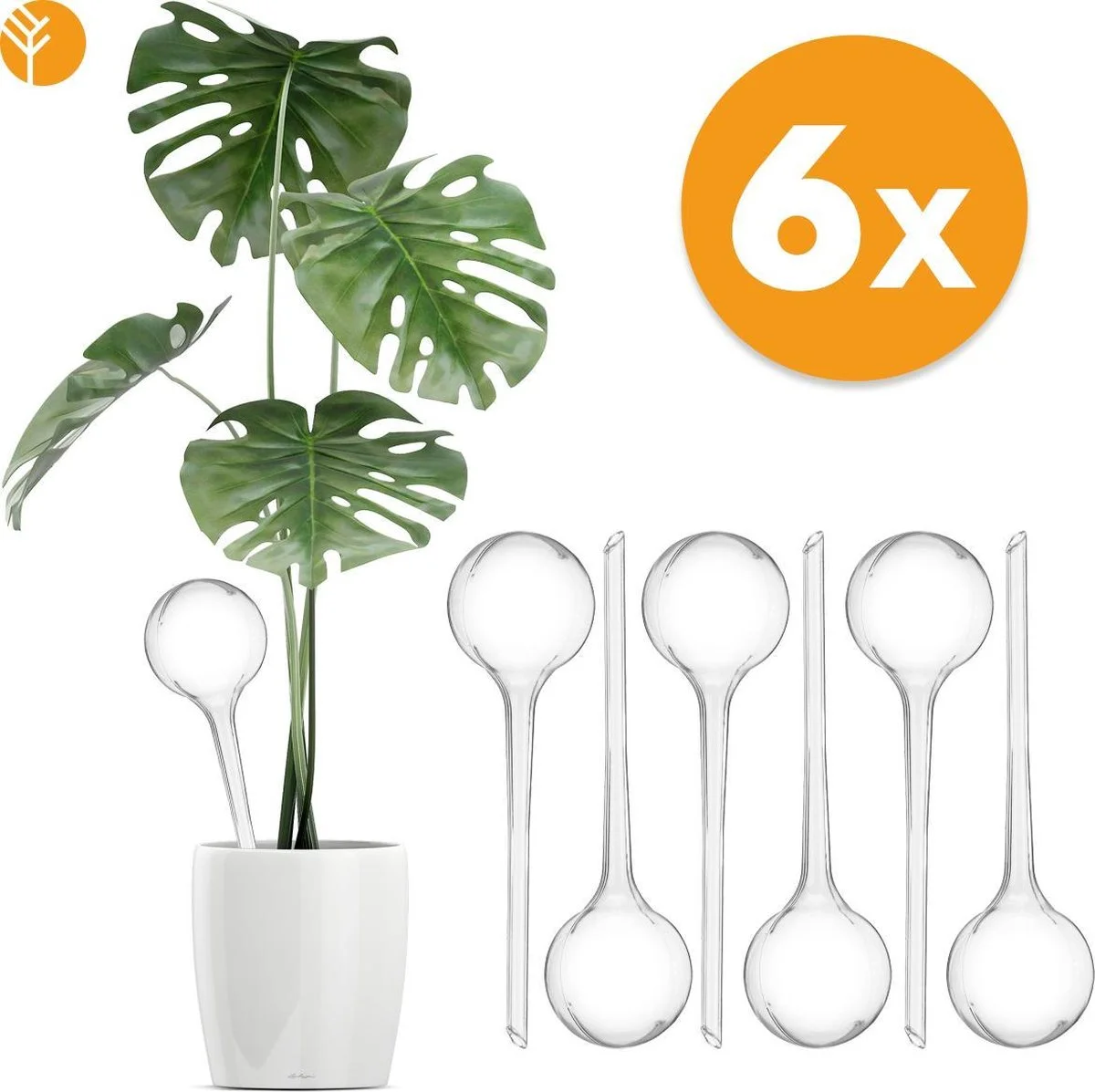 Groots Waterdruppelaar Set Van 6 Stuks Voor Planten Transparant – 27 CM – Automatisch Watergeefsysteem Voor Kamerplanten – Planten Watergever Met Druppelsysteem – Waterbol 1 Groots Waterdruppelaar Set Van 6 Stuks Voor Planten Transparant – 27 CM – Automatisch Watergeefsysteem Voor Kamerplanten – Planten Watergever Met Druppelsysteem – Waterbol