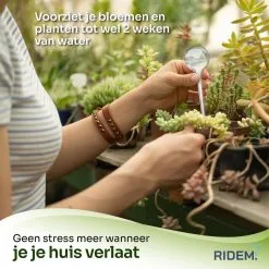 Ridem Waterdruppelaar Voor Planten - Irrigatiesysteem- Waterbol - Druppelsysteem - Watergeefsysteem Voor Kamerplanten - Plantenwatergever -6 Stuks - Transparant -Bloempotten Verkoop 1200x1198 25