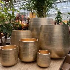 Merkloos Karakter Pot Alu Neo Gold ø40x40cm 7 Merkloos Karakter Pot Alu Neo Gold ø40x40cm -Bloempotten Verkoop 1200x1198 5