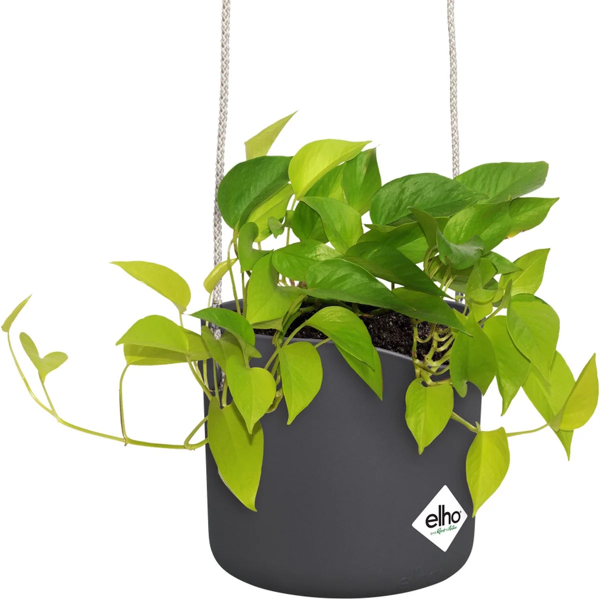 Elho B.for Swing 18 Hangpot - Bloempot Voor Binnen - Ø 18.0 X H 16.5 Cm - Zwart/Antraciet 3 Elho B.for Swing 18 Hangpot - Bloempot Voor Binnen - Ø 18.0 X H 16.5 Cm - Zwart/Antraciet - Afbeelding 3