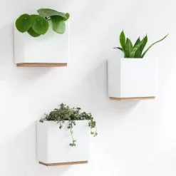 KAZAI. Wandvazen -Alma | Moderne Hangende Bloempotten Voor Aan De Muur | 3-delige Bloempot Set Van Hoogwaardig Hars Voor Kamerplanten, Kunstplanten, Bloemen Enz. | Wit