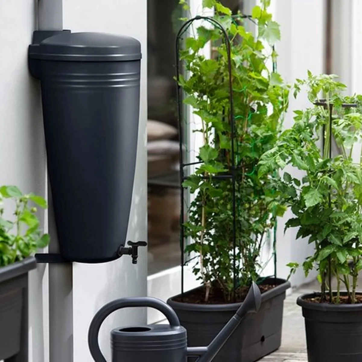 Elho Green Basics Rain Catcher 33 - Regenton Voor Balkonbuiten - Ø 33.5 X H 73.5 Cm - Zwart/Living Black 3 Elho Green Basics Rain Catcher 33 - Regenton Voor Balkonbuiten - Ø 33.5 X H 73.5 Cm - Zwart/Living Black - Afbeelding 3