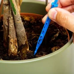 BUBBLEGUM STUFF Woonaccessoires- Automatisch Watergeef Systeem | Plantenwaterer - Life Support Irrigatieapparaat | Druppelaar Kamerplanten - | Planten Watergever Met Druppelsysteem 350ml 14 BUBBLEGUM STUFF Woonaccessoires- Automatisch Watergeef Systeem | Plantenwaterer - Life Support Irrigatieapparaat | Druppelaar Kamerplanten - | Planten Watergever Met Druppelsysteem 350ml -Bloempotten Verkoop 1200x1200 1038