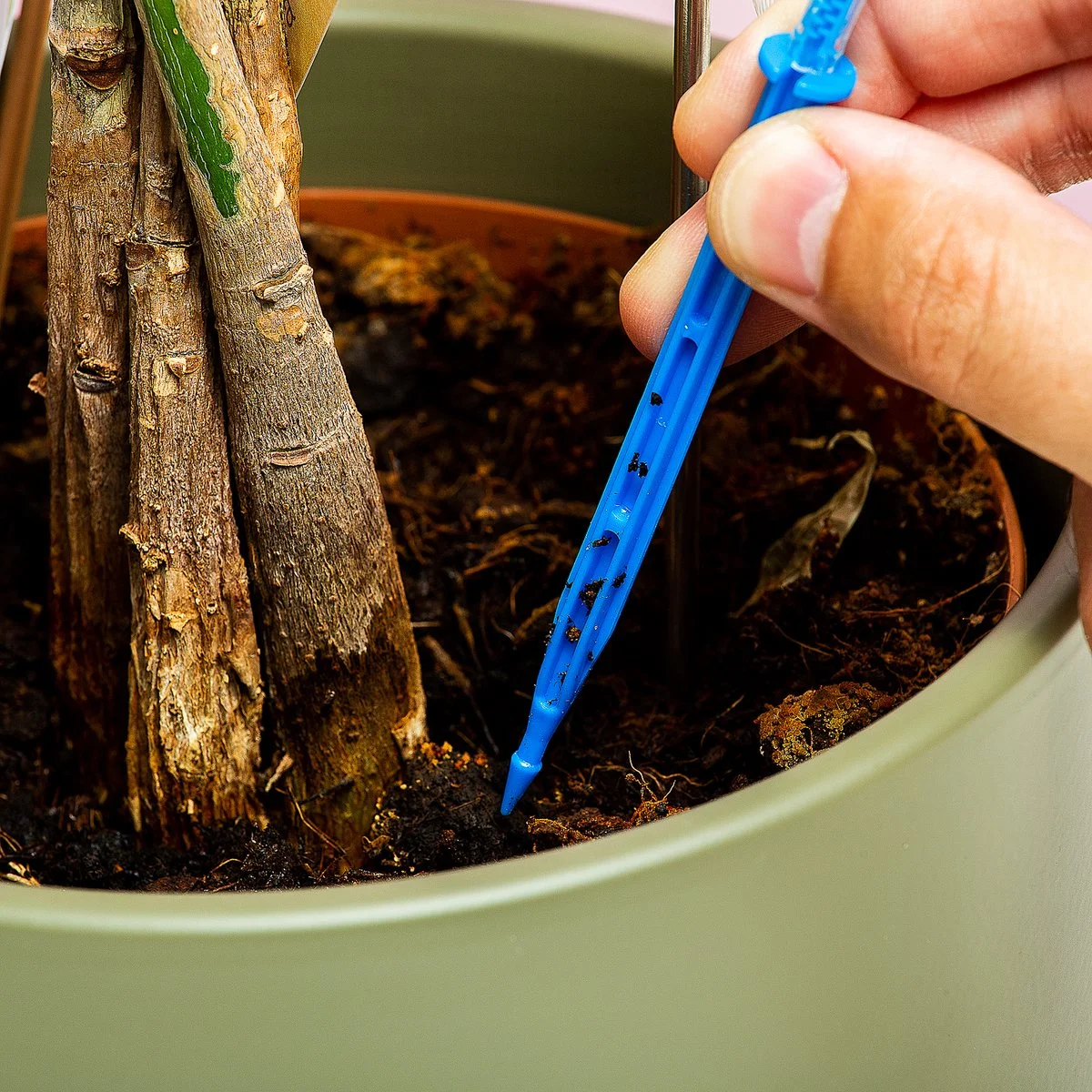 BUBBLEGUM STUFF Woonaccessoires- Automatisch Watergeef Systeem | Plantenwaterer - Life Support Irrigatieapparaat | Druppelaar Kamerplanten - | Planten Watergever Met Druppelsysteem 350ml 5 BUBBLEGUM STUFF Woonaccessoires- Automatisch Watergeef Systeem | Plantenwaterer - Life Support Irrigatieapparaat | Druppelaar Kamerplanten - | Planten Watergever Met Druppelsysteem 350ml - Afbeelding 5