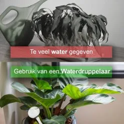 Stan Online Products Waterdruppelaar Set Van 6 Stuks - Waterdruppelaar Voor Planten - Watergeefsysteem - Waterbol Irrigatiesysteem - Automatisch Druppelsysteem Voor Kamerplanten & Tuin - Watergever - Doorzichtig - 15cm 13 Stan Online Products Waterdruppelaar Set Van 6 Stuks - Waterdruppelaar Voor Planten - Watergeefsysteem - Waterbol Irrigatiesysteem - Automatisch Druppelsysteem Voor Kamerplanten & Tuin - Watergever - Doorzichtig - 15cm -Bloempotten Verkoop 1200x1200 1058